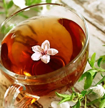 Напиток чайного гриба наверное одно из самых эффективных средств в борьбе с заболеваниями желудочно-кишечного тракта.