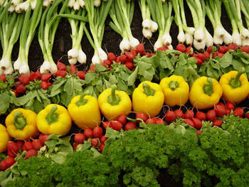 Растительная пища это основа большинства диет.